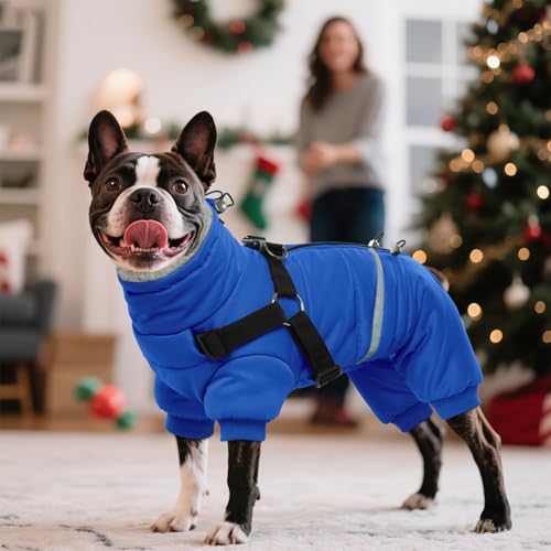 Black Dog Winter Jacket with Harness P5997