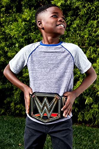 Championship Title Belt D353