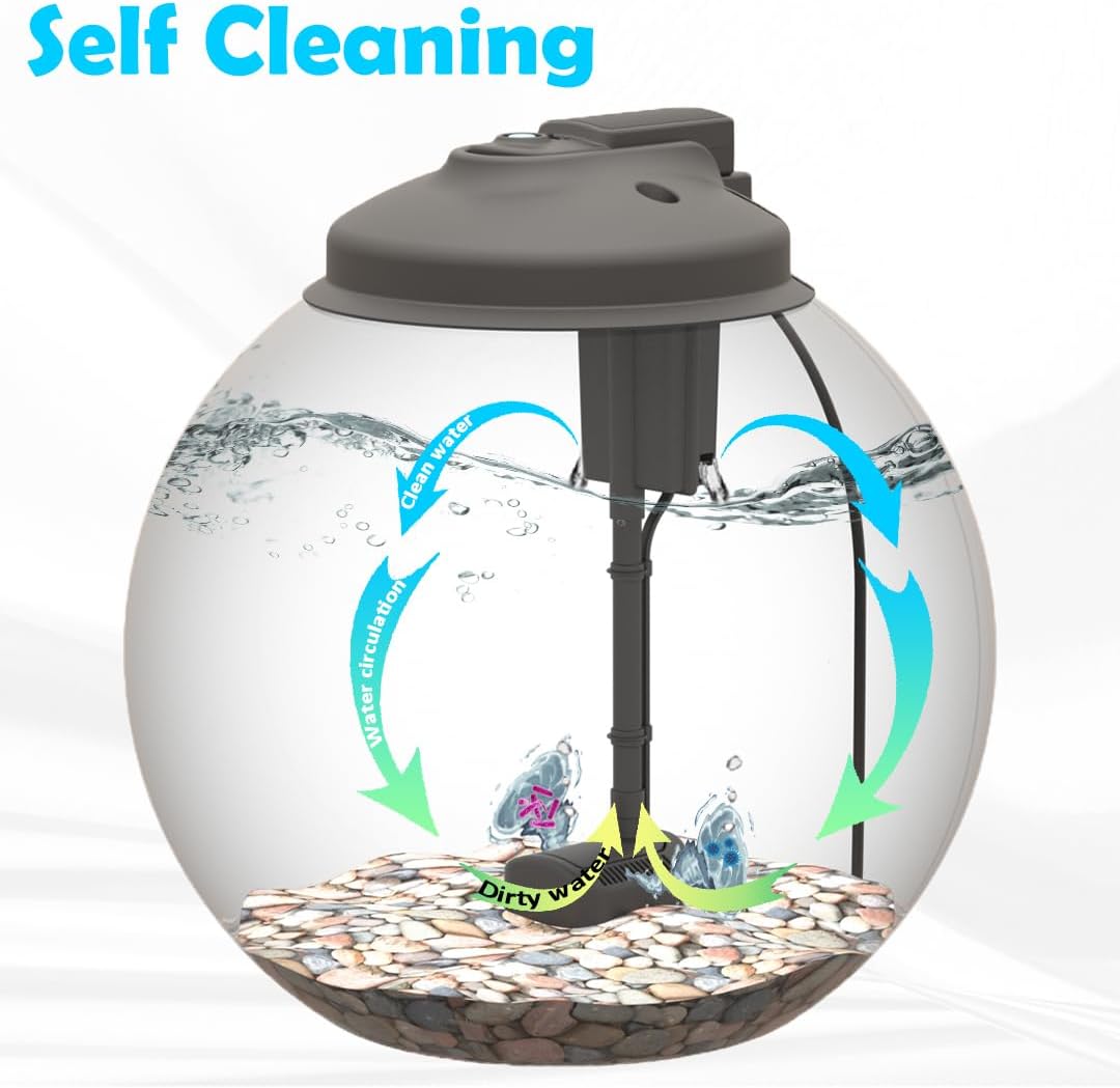 3 Gallon Fish Tank Starter Kit with Power Filter, LED Light, and Full Hood A815747