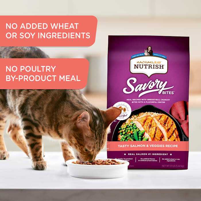 Savory Bites Dry Cat Food U4082