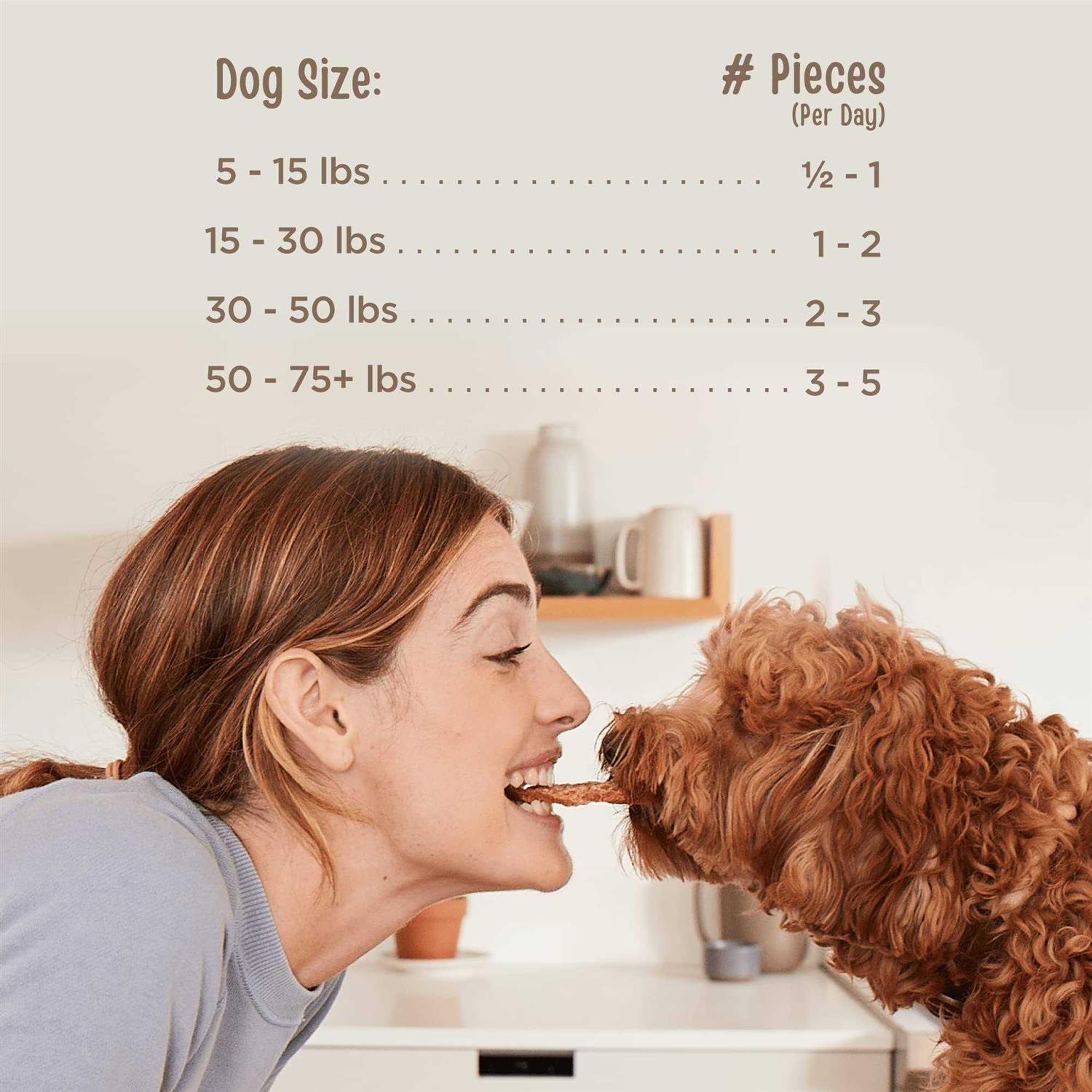 Beef Jerky Tenders Dog Treats K465080