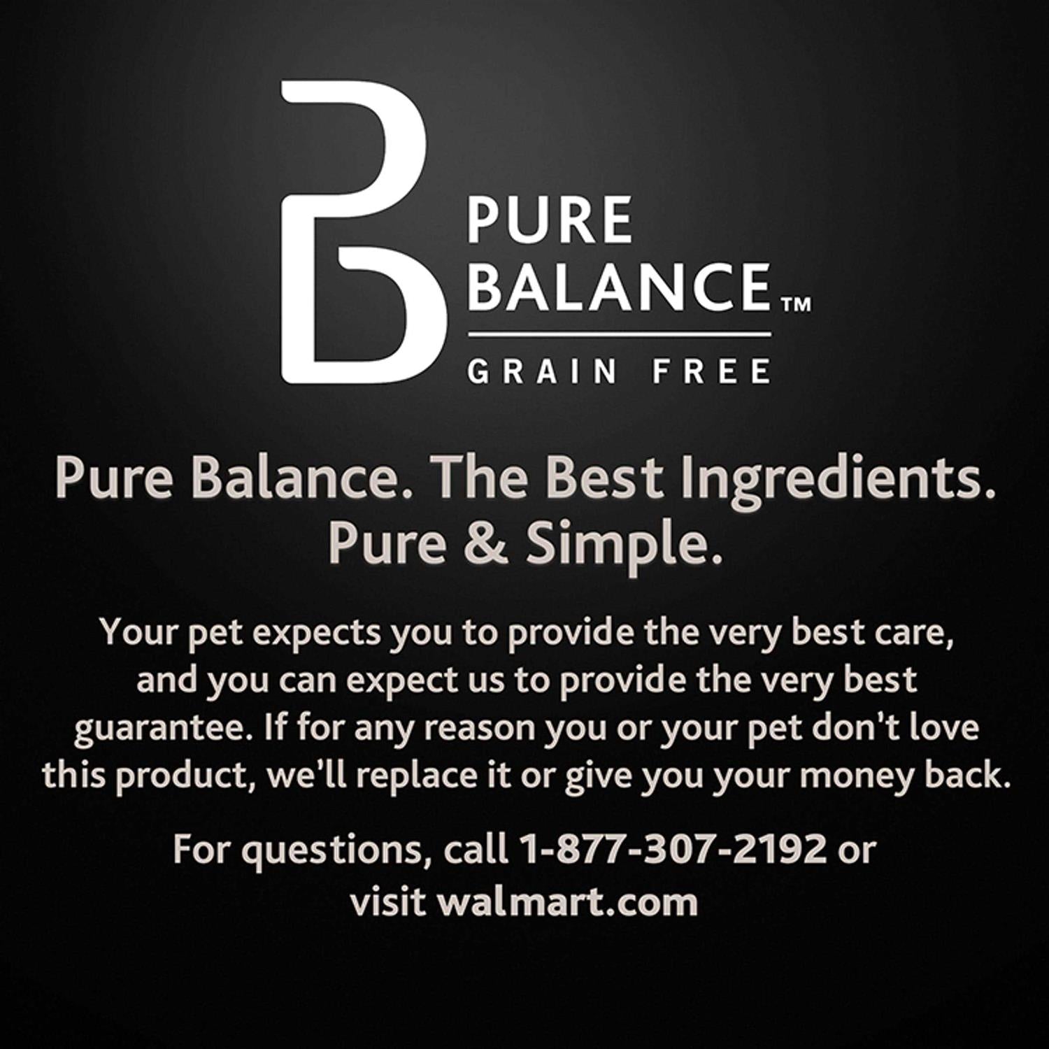 Chicken and Brown Rice Recipe Dry Dog Food R8805