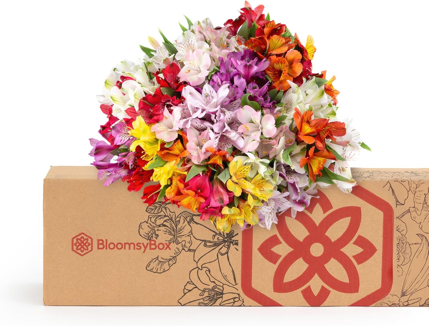 24 Multicolored Alstroemeria Bouquet Flowers H869