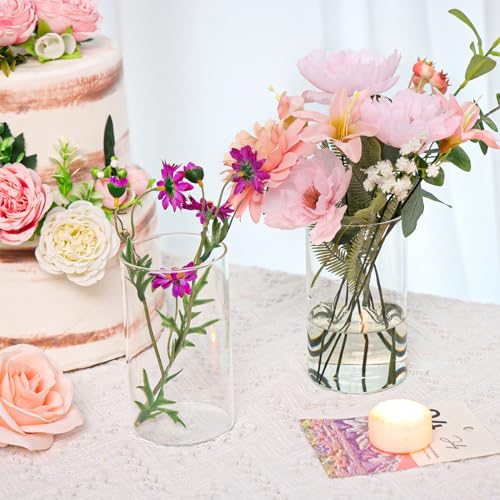 15pcs Clear Glass Cylinder Vases R1154