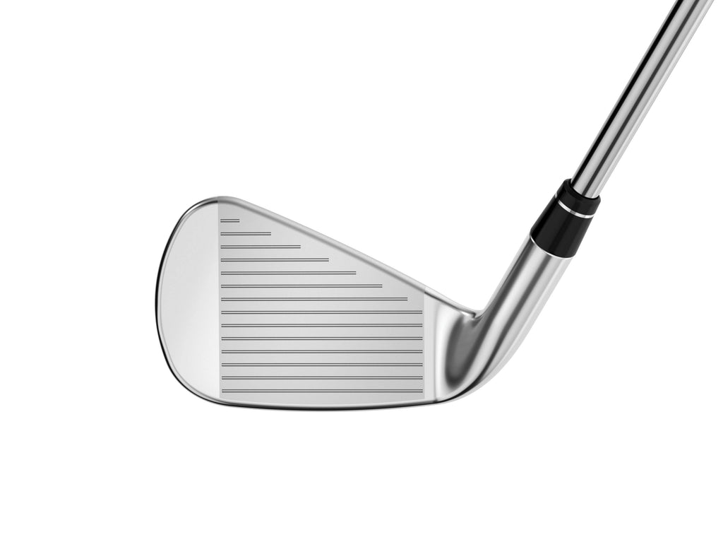 Right Hand Men's Individual Irons W545537