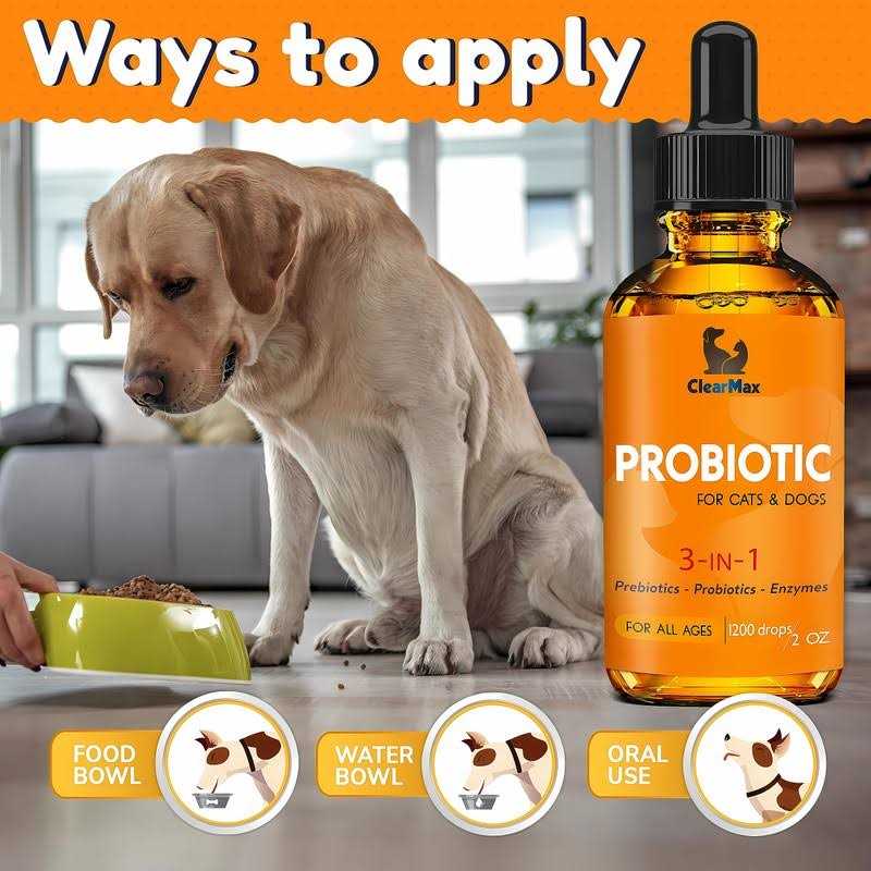 Probiotics for Dogs and Cats N746189
