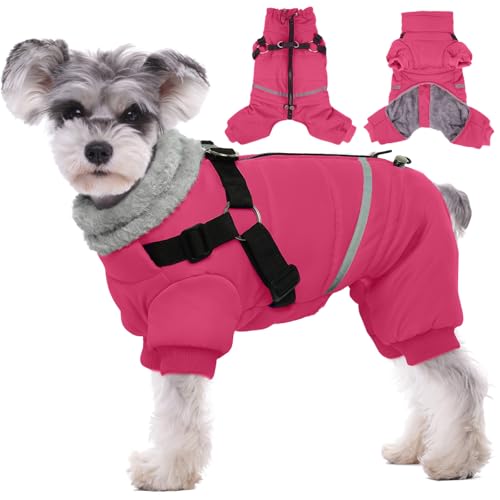 Black Dog Winter Jacket with Harness P5997