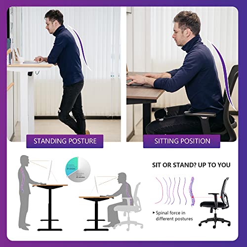 Electric Standing Desk 48 x 24 Inch Height Adjustable Sit Stand Desk with Splice Board W628166