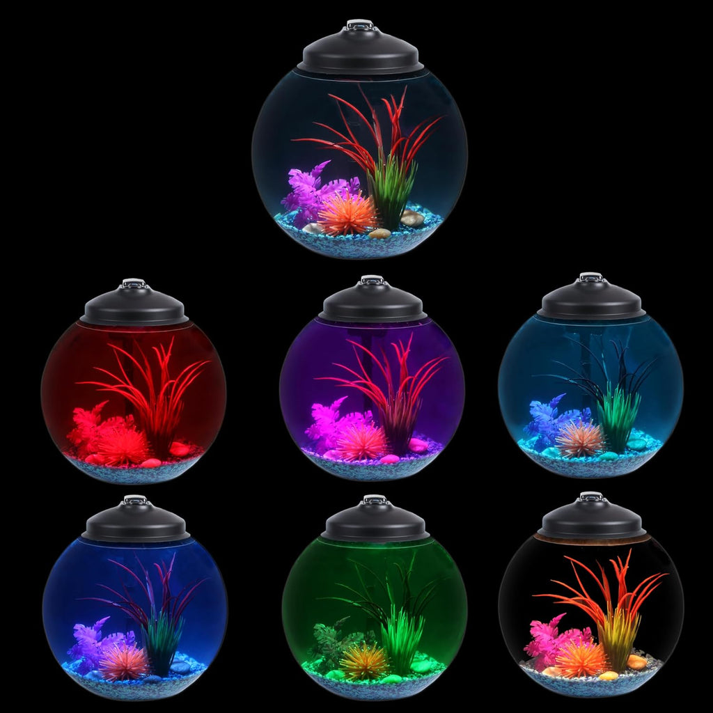 3 Gallon Fish Tank Starter Kit with Power Filter, LED Light, and Full Hood A815747