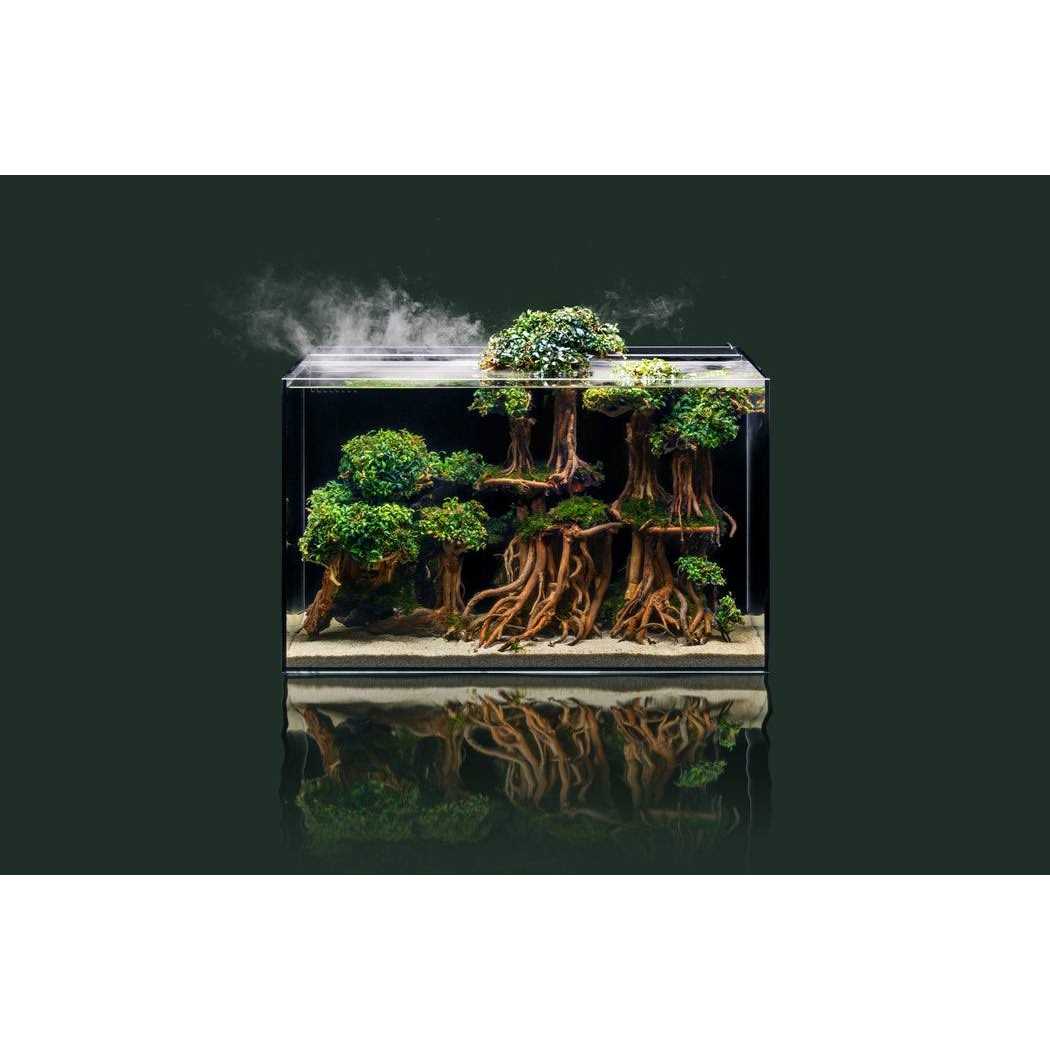 21 Gallon Dual AIO Rimless Aquarium T30912
