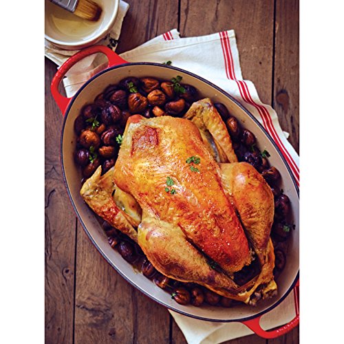 5 qt. Enameled Cast Iron Oval Dutch Oven C85217