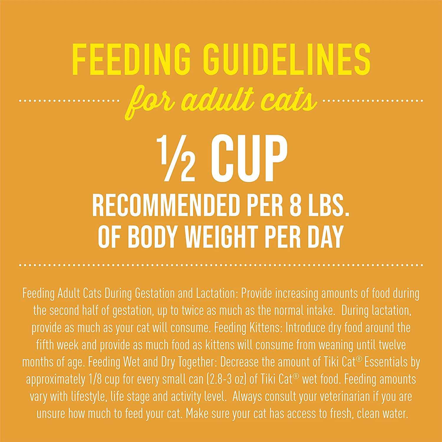 Chicken & Turkey Meal Recipe Dry Cat Food L57116
