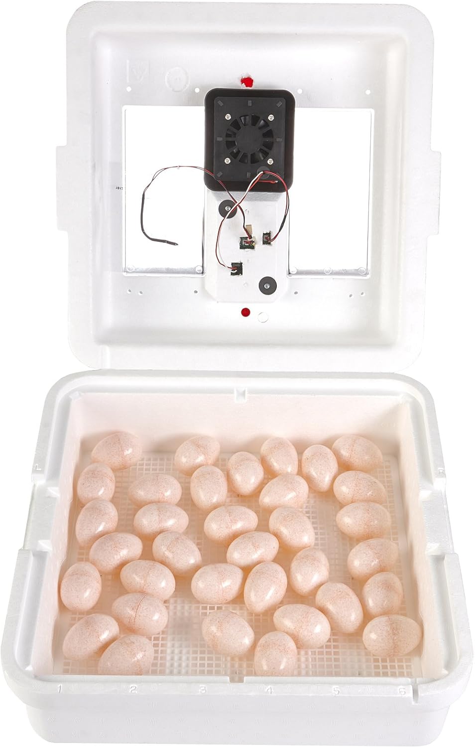 41 Egg Incubator with Fan and Temperature and Humidity Control G899611