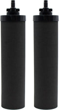 Black Activated Carbon Filters, Pack of 2 W879