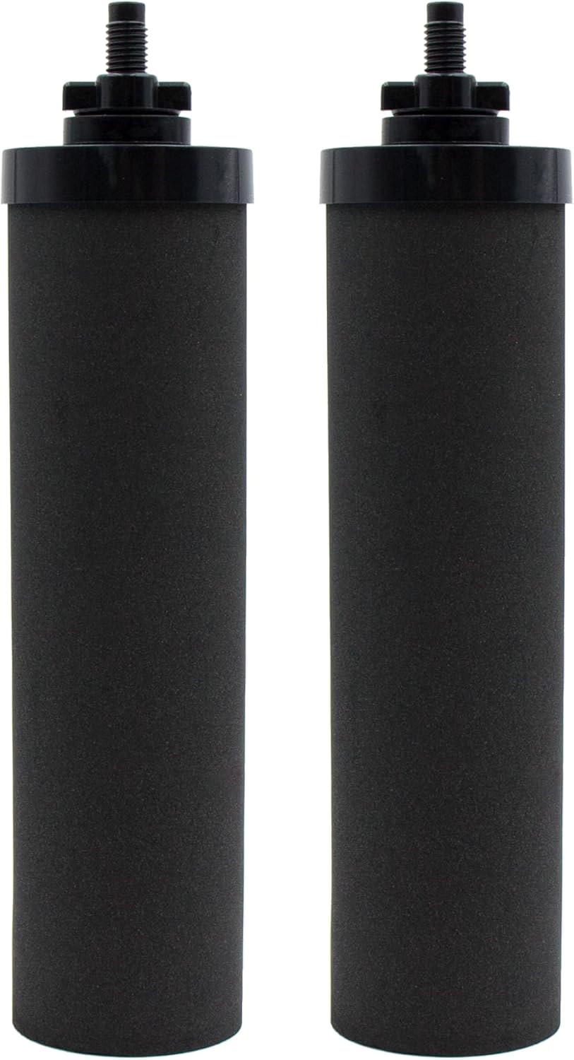 Black Activated Carbon Filters, Pack of 2 W879