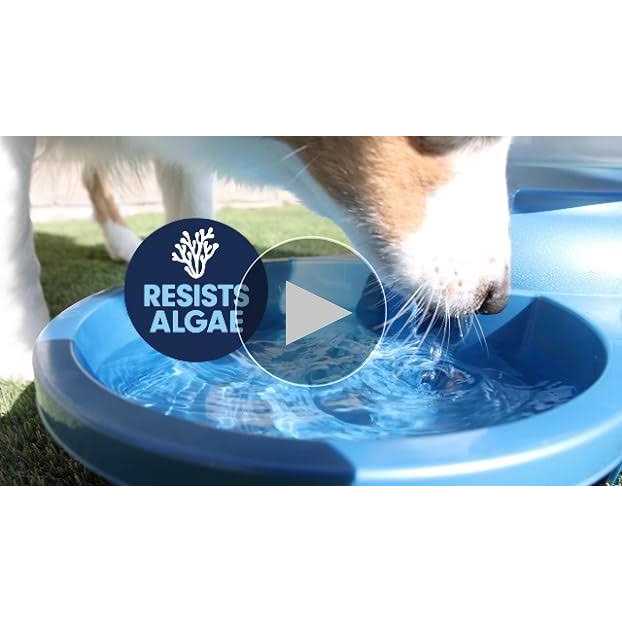 Outdoor Water Bowl Q371930