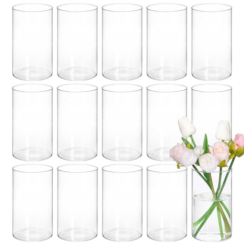 15pcs Clear Glass Cylinder Vases R1154