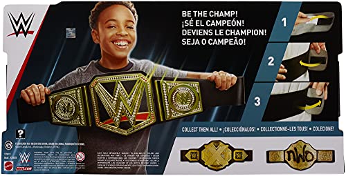 Championship Title Belt D353