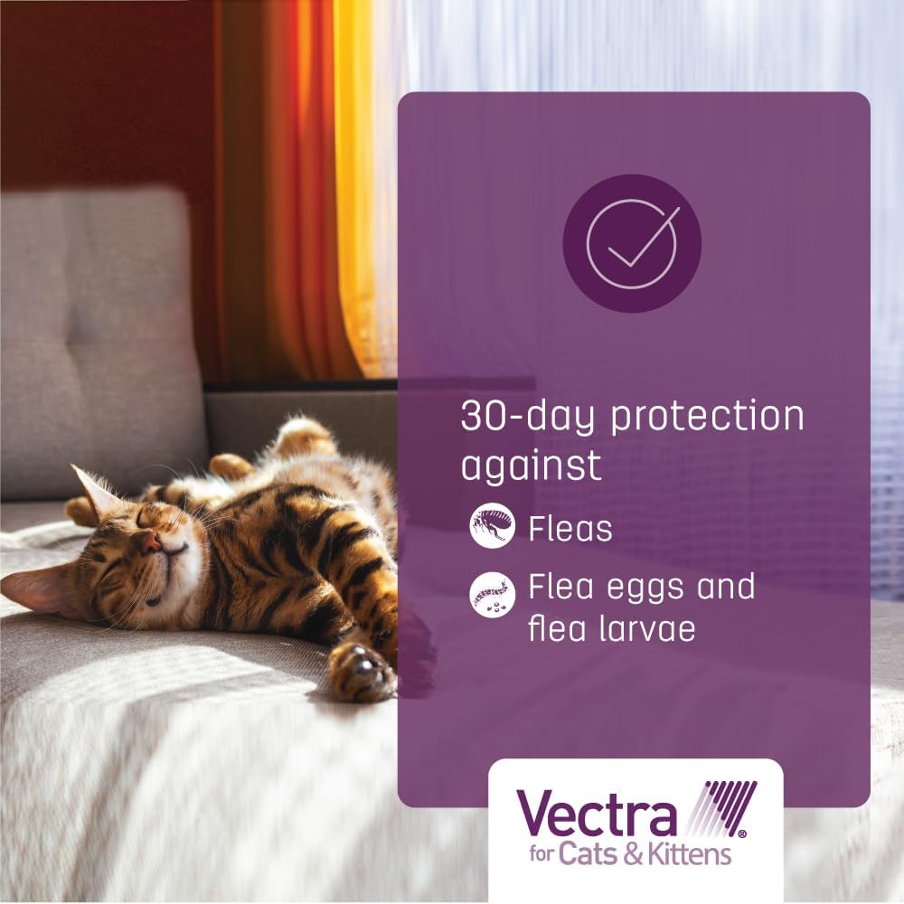 3-Month Supply Flea Treatment for Small Cats (2-9 lbs.) D87225