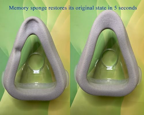 2 Count Large Memory Foam Replacement Cushion L247