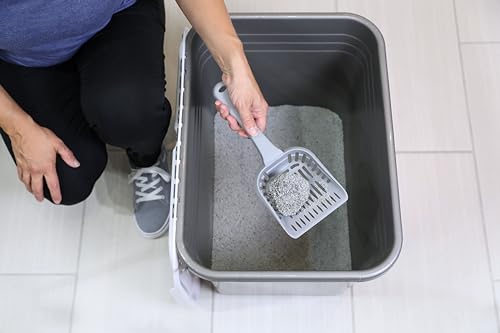 Top Entry Cat Litter Box With Filter Lid W622