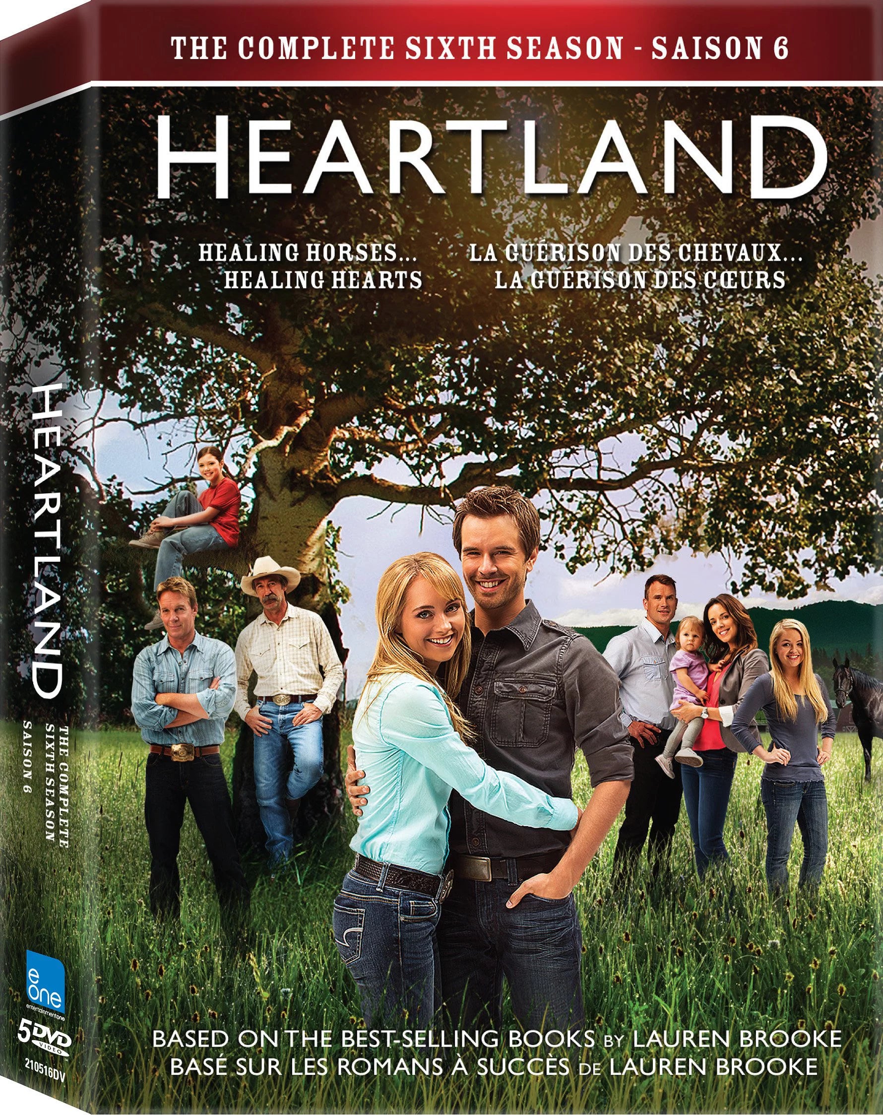 Heartland: The Complete Sixth Season DVD B29585