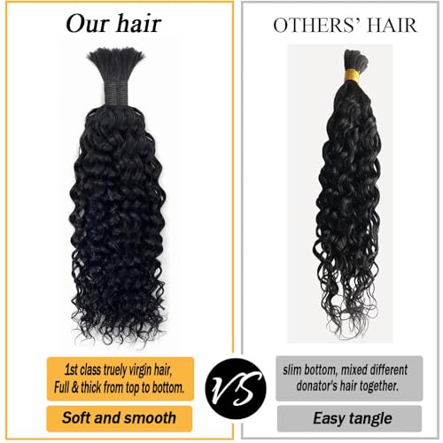 Human Hair N417308