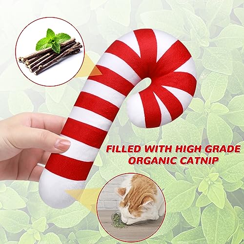 4 Pcs 8 Inch Catnip Cat Chew Toy J112890
