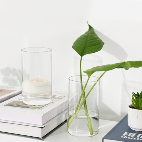 15pcs Clear Glass Cylinder Vases R1154