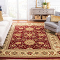 Red & Ivory 6' x 9' Traditional Area Rug Y7204