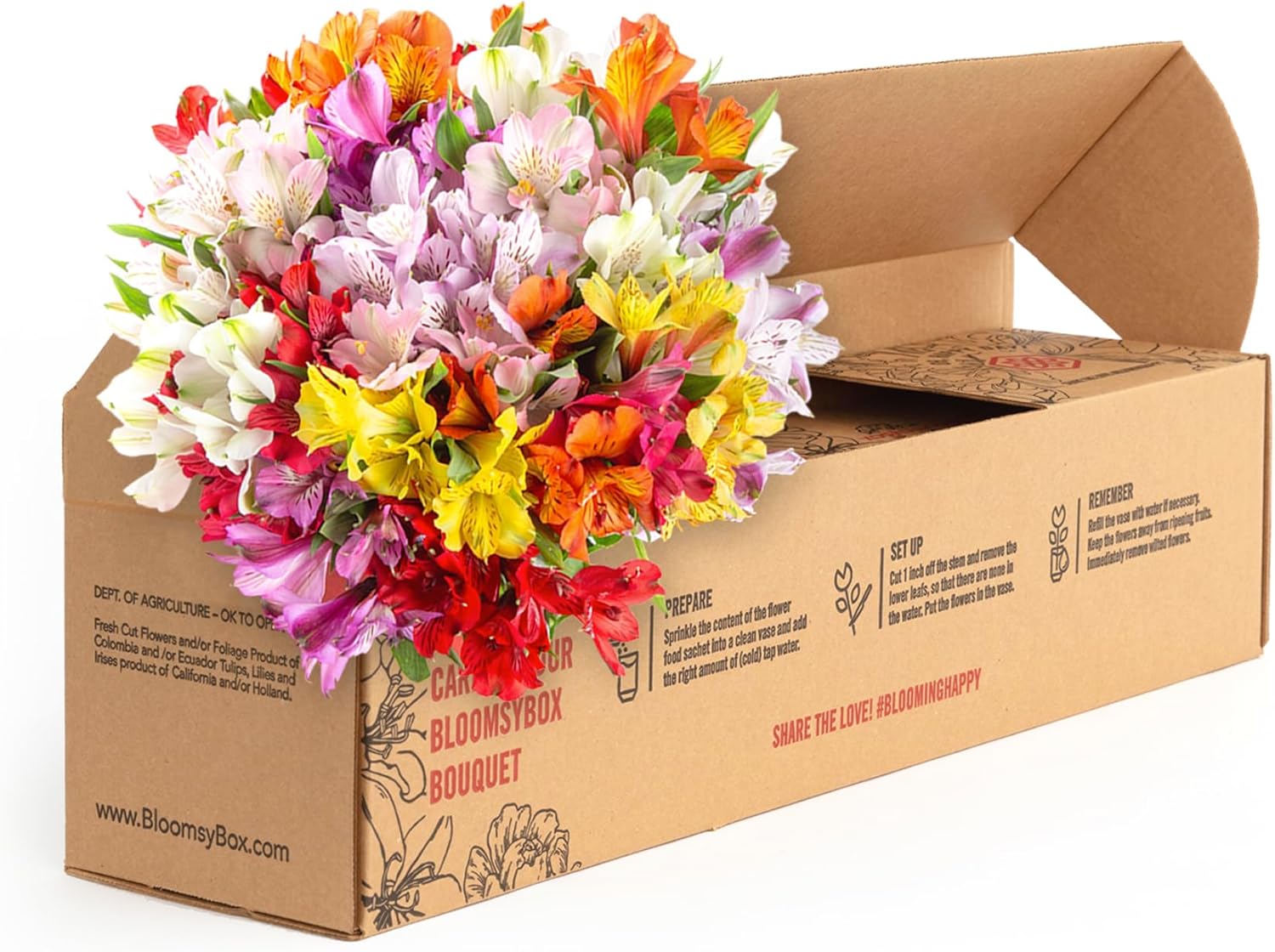 24 Multicolored Alstroemeria Bouquet Flowers H869