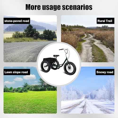 20 Inch 7 Speed Adult Tricycle with Double Disc Brake G990204
