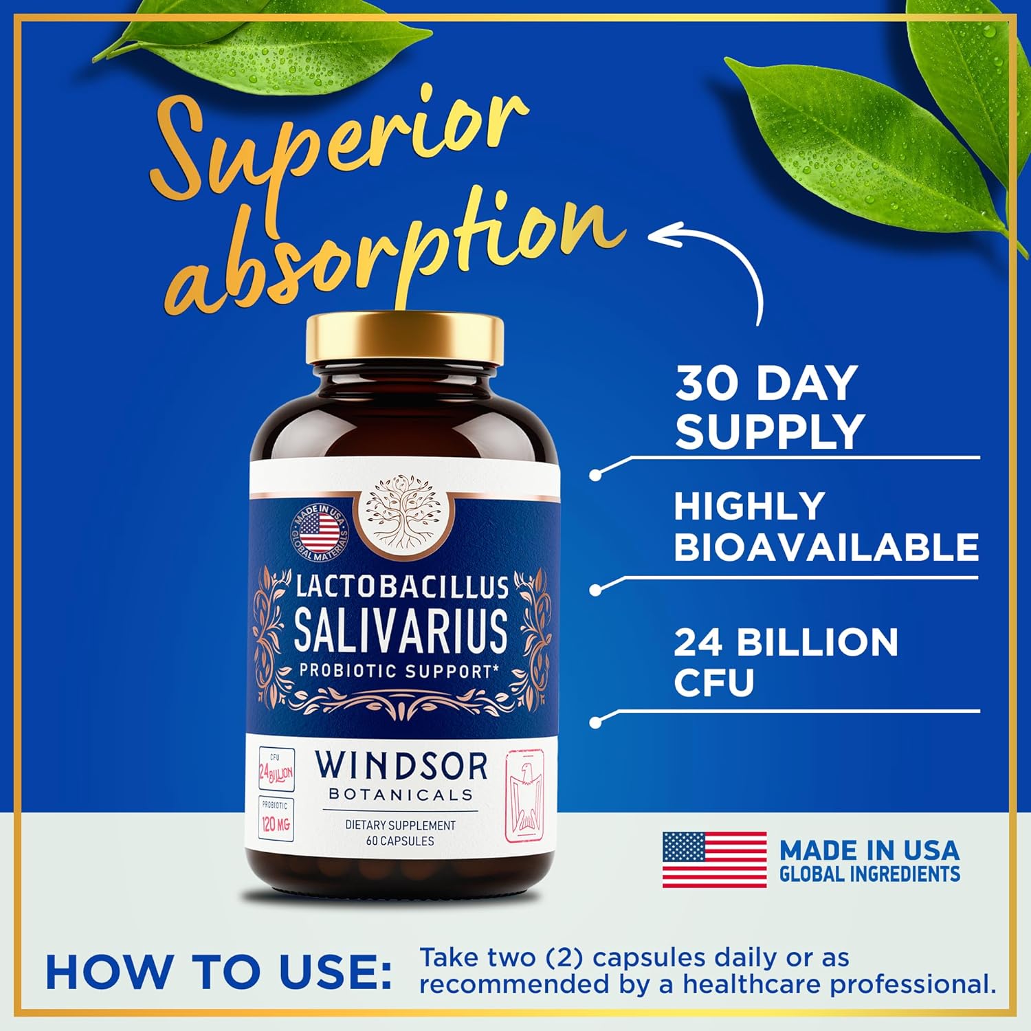 L Salivarius Probiotic Capsules, 24bn CFU, 60 Caps O1834