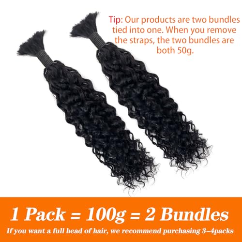 Human Hair N417308