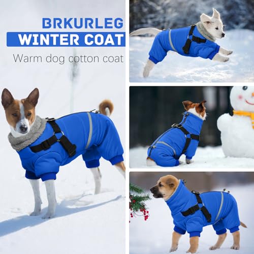 Black Dog Winter Jacket with Harness P5997