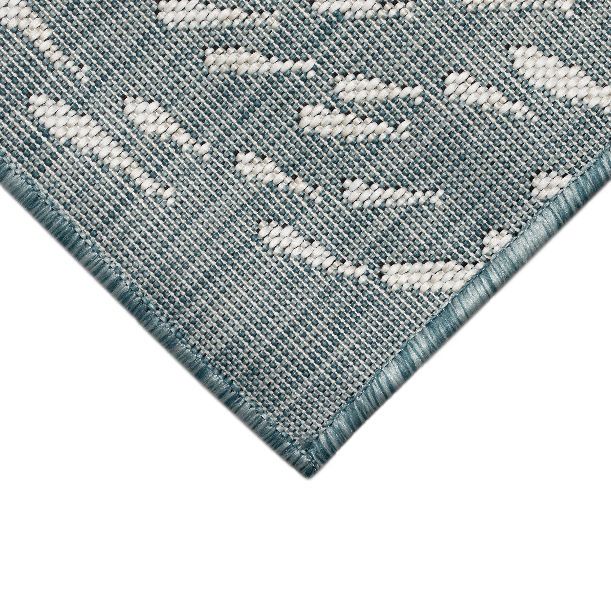 Carmel School Of Fish Indoor Outdoor Area Rug