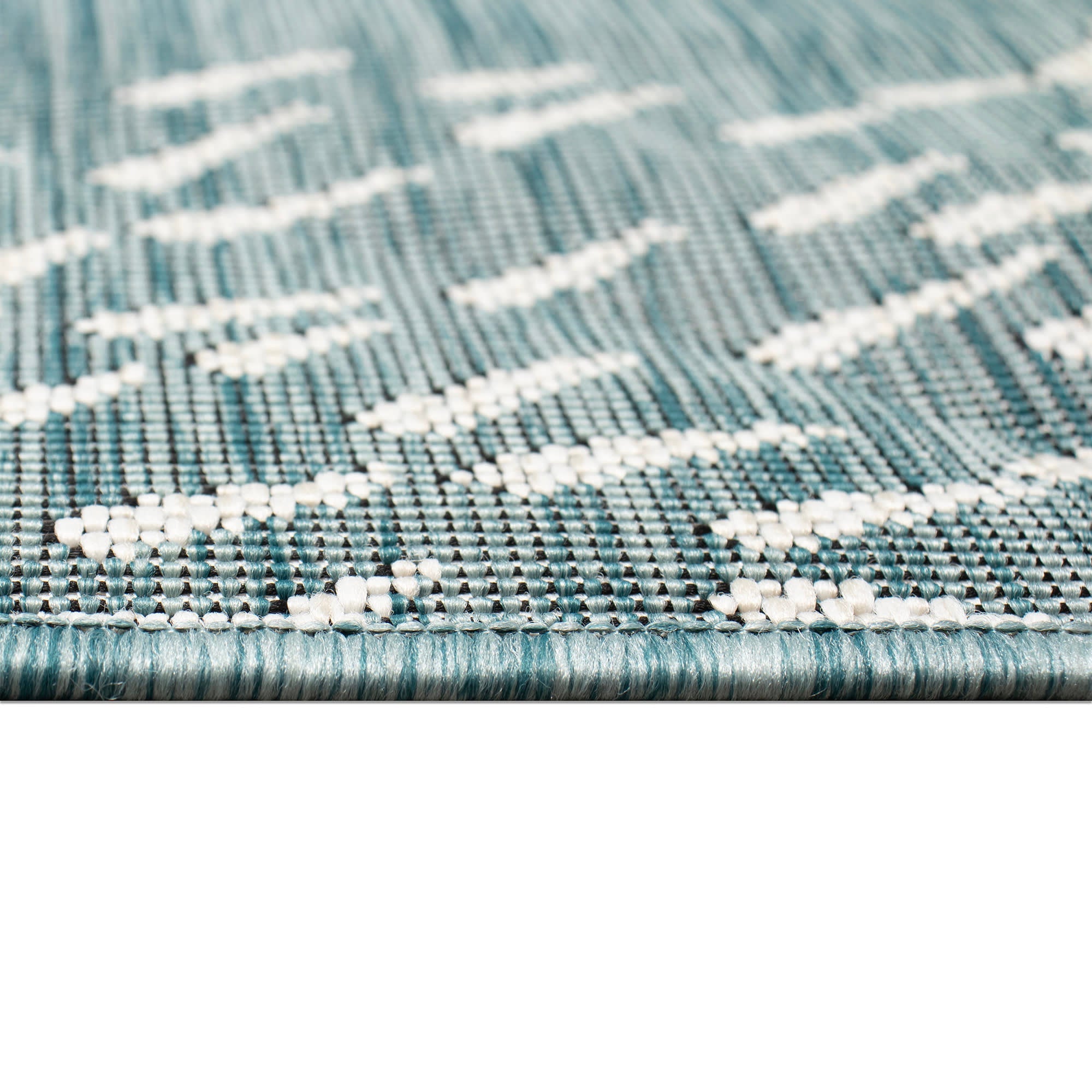 Carmel School Of Fish Indoor Outdoor Area Rug
