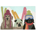 Frontporch Ski Patrol Indoor Outdoor Mat