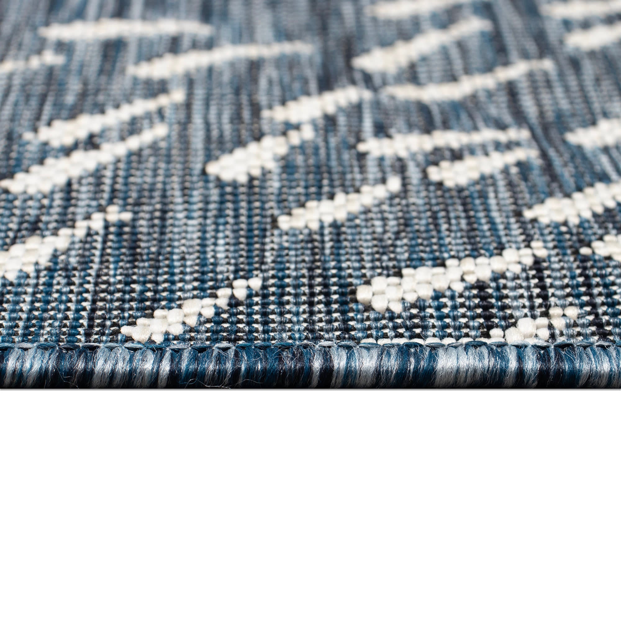 Carmel School Of Fish Indoor Outdoor Area Rug